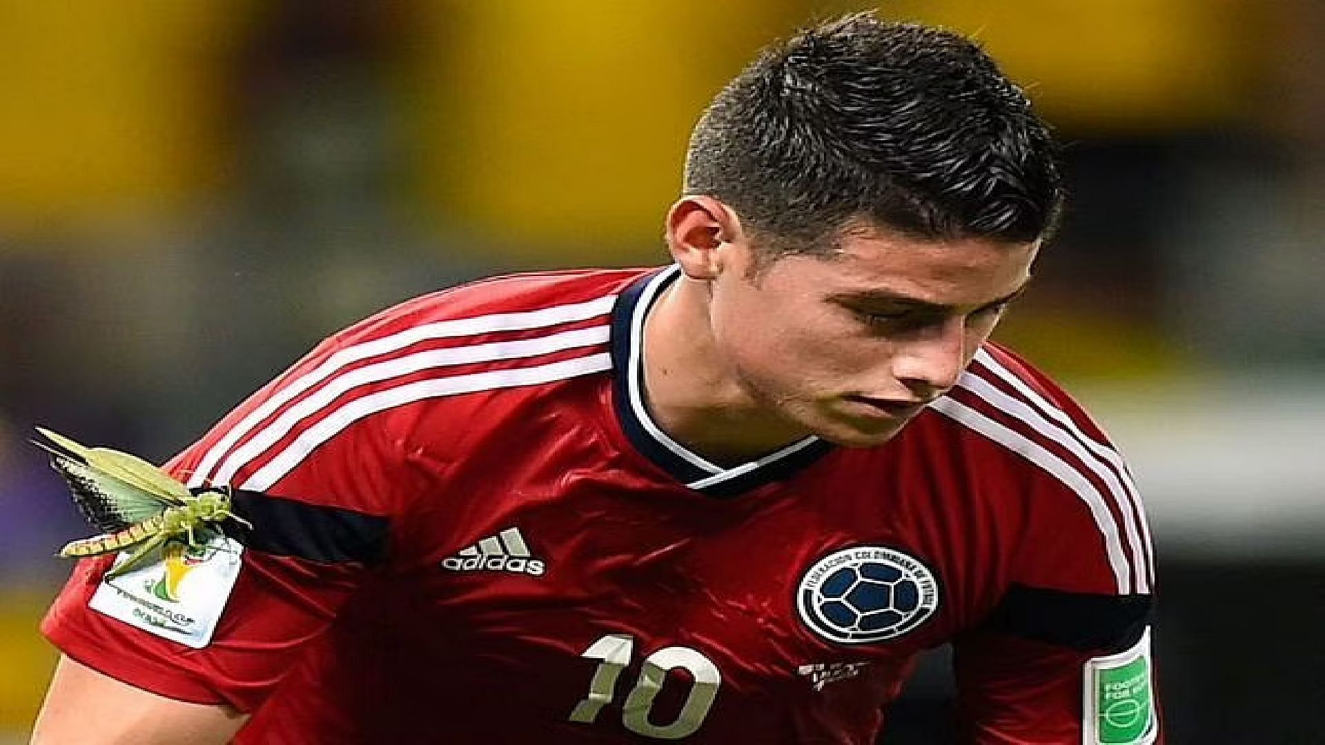 The target of what seemed to be a large grasshopper during Colombia and Brazil's World Cup quarterfinal landed on James Rodriguez's arm as he celebrated scoring a penalty.